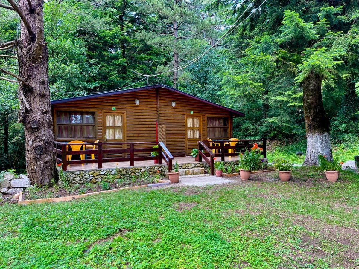 Uji I Panjes Llogara Villa Vlorë Екстериор снимка